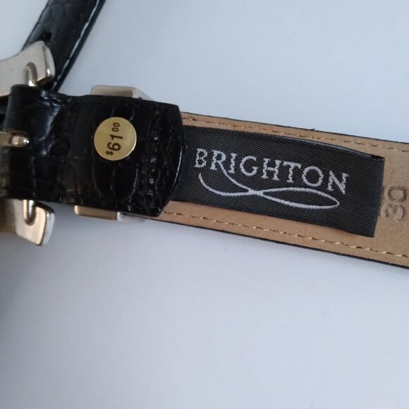 Leather Western Belt NWT Brown Reptile Print Silver Toned Hardware. Giftable! - Picture 4 of 9